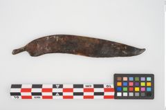 Foto von Eisengriffdornmesser (NHMW-PRAE-025783)